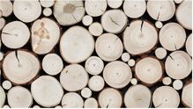 Stegu PURE Wood Collection - drevený obklad STEGU PURE 0,58m2