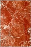 Zalakeramia IBIZA obklad 20x30x0,7cm, hnedá lesklá, ZBE 348, 1.trieda ZBE348 1,5m2