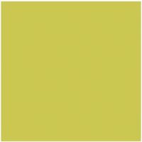 Rako COLOR ONE obklad 20x20x0,65cm ŽltoZelená WAA1N454, 1.tr. lesklý WAA1N454 1m2